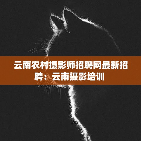 云南農(nóng)村攝影師招聘網(wǎng)最新招聘：云南攝影培訓(xùn) 