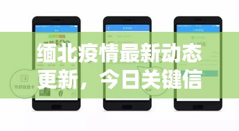 緬北疫情最新動(dòng)態(tài)更新，今日關(guān)鍵信息一網(wǎng)打盡