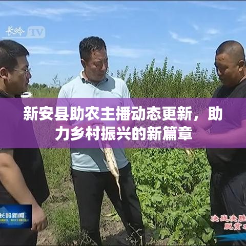 百鳥齊鳴 第3頁