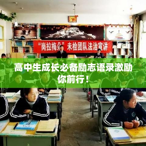 飛揚(yáng)撥扈 第2頁(yè)