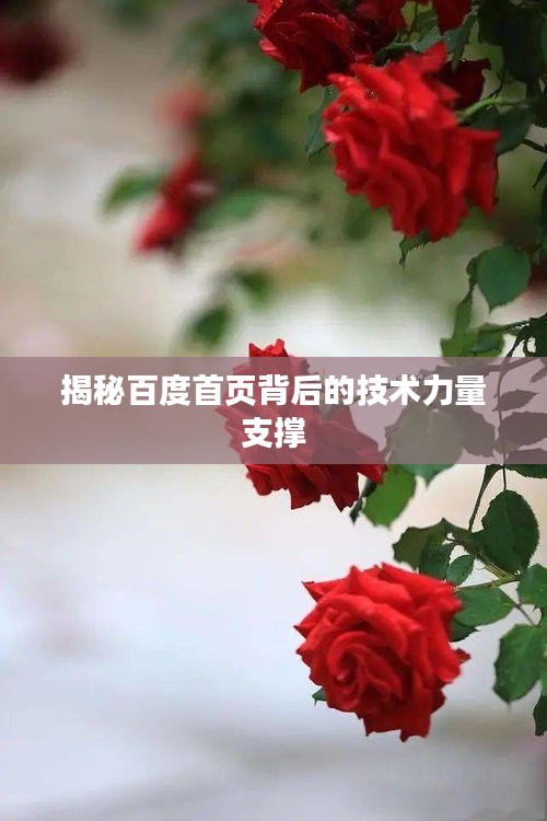 揭秘百度首頁背后的技術力量支撐