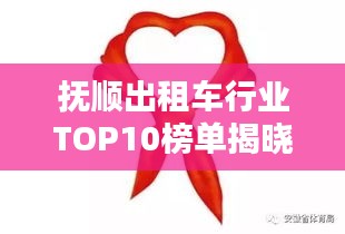 撫順出租車行業(yè)TOP10榜單揭曉！