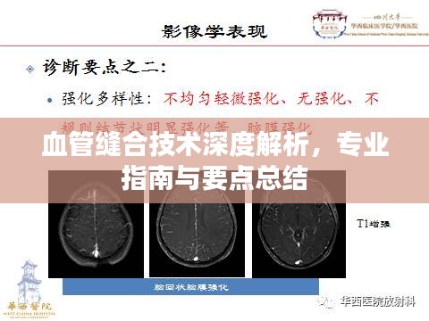 血管縫合技術(shù)深度解析，專(zhuān)業(yè)指南與要點(diǎn)總結(jié)