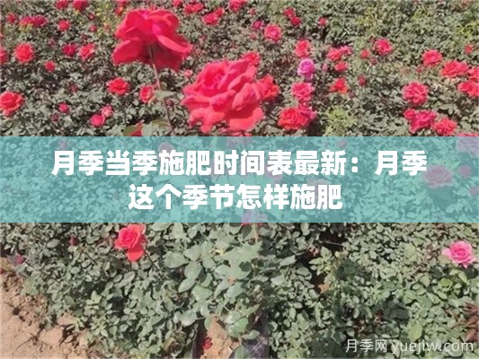 虛張聲勢 第3頁