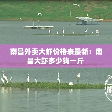 南昌外賣(mài)大蝦價(jià)格表最新：南昌大蝦多少錢(qián)一斤 