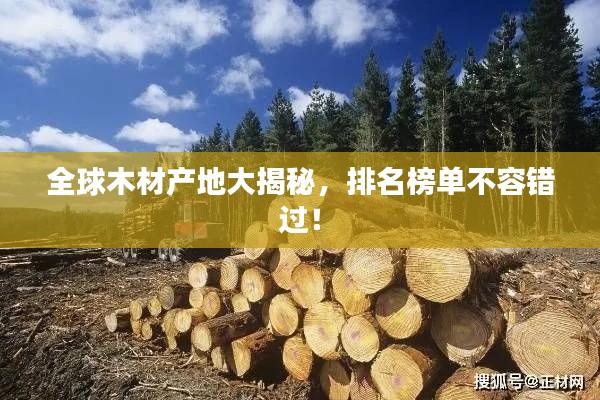 全球木材產(chǎn)地大揭秘，排名榜單不容錯過！