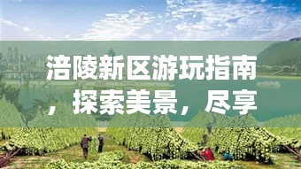 涪陵新區(qū)游玩指南，探索美景，盡享樂趣！