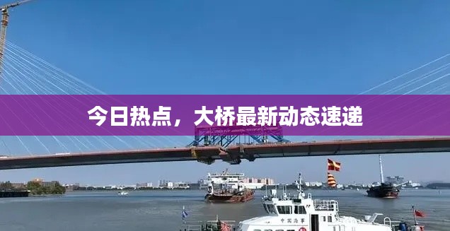 今日熱點，大橋最新動態速遞