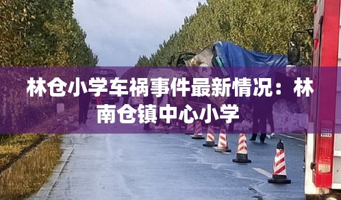 林倉小學車禍事件最新情況：林南倉鎮中心小學 