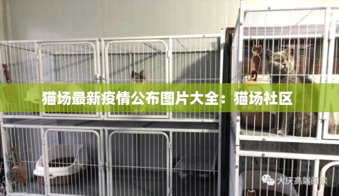 戀戀不舍 第3頁