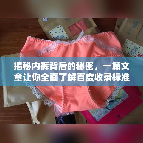 揭秘內褲背后的秘密，一篇文章讓你全面了解百度收錄標準下的內褲知識