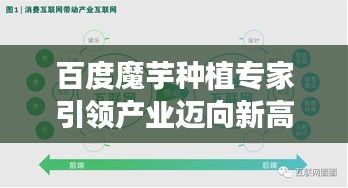 百度魔芋種植專家引領產業邁向新高度，魔芋產業蓬勃發展！