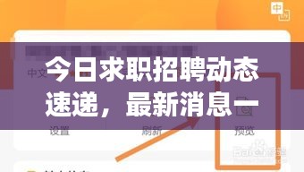 今日求職招聘動態速遞，最新消息一網打盡，職場策略助你求職無憂！