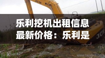 樂利挖機出租信息最新價格：樂利是正規公司嗎 