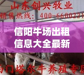 信陽牛場出租信息大全最新：信陽肉牛養殖場 