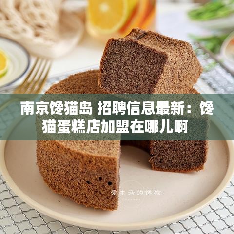 南京饞貓島 招聘信息最新：饞貓蛋糕店加盟在哪兒啊 