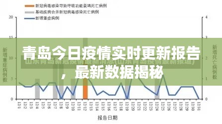 青島今日疫情實時更新報告，最新數(shù)據(jù)揭秘