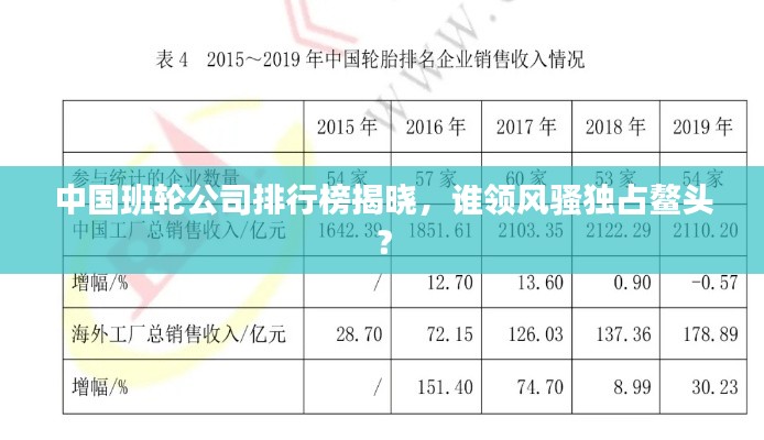中國班輪公司排行榜揭曉，誰領風騷獨占鰲頭？