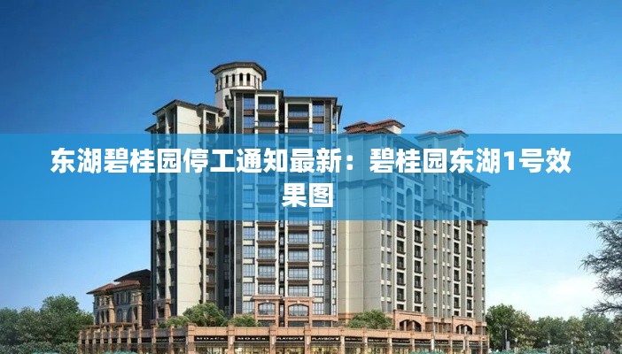 東湖碧桂園停工通知最新：碧桂園東湖1號(hào)效果圖 