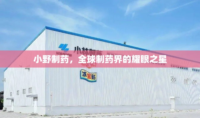 小野制藥，全球制藥界的耀眼之星