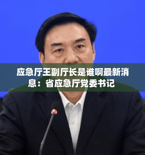 應急廳王副廳長是誰啊最新消息：省應急廳黨委書記 