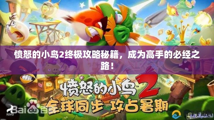 憤怒的小鳥2終極攻略秘籍，成為高手的必經之路！