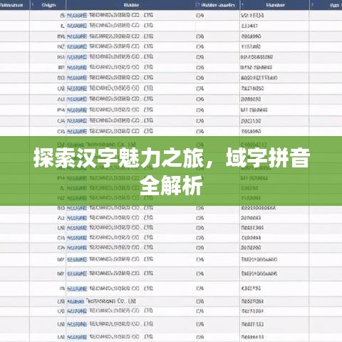 探索漢字魅力之旅，域字拼音全解析