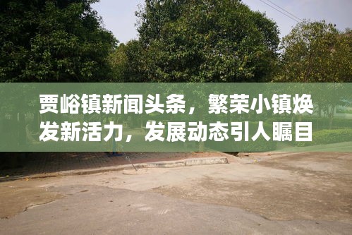 賈峪鎮(zhèn)新聞?lì)^條，繁榮小鎮(zhèn)煥發(fā)新活力，發(fā)展動(dòng)態(tài)引人矚目