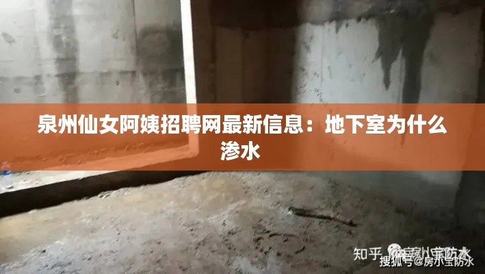 泉州仙女阿姨招聘網最新信息：地下室為什么滲水 