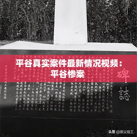 平谷真實案件最新情況視頻：平谷慘案 