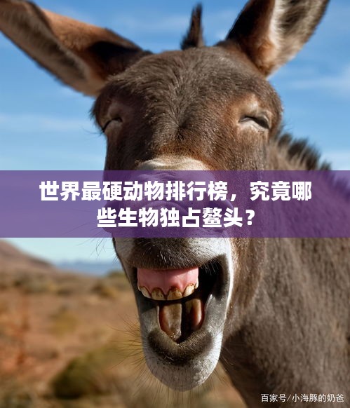 世界最硬動物排行榜，究竟哪些生物獨占鰲頭？
