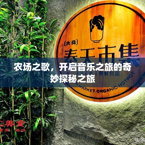 農場之歌，開啟音樂之旅的奇妙探秘之旅