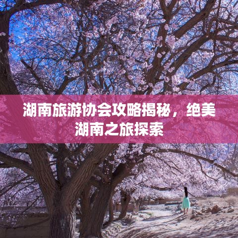 湖南旅游協會攻略揭秘，絕美湖南之旅探索