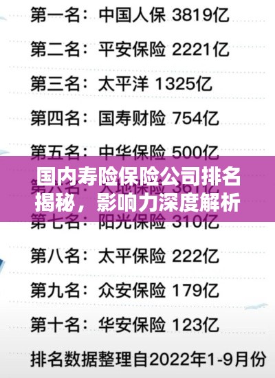 國內壽險保險公司排名揭秘，影響力深度解析！