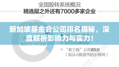 新加坡基金會公司排名揭秘，深度解析影響力與實力！