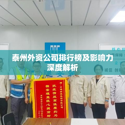 泰州外資公司排行榜及影響力深度解析