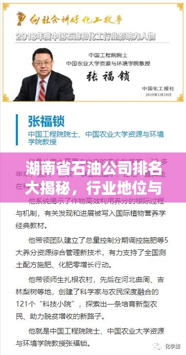 湖南省石油公司排名大揭秘，行業地位與影響力解析