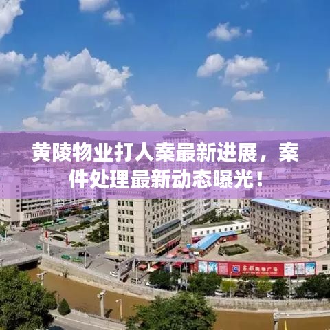 黃陵物業打人案最新進展，案件處理最新動態曝光！