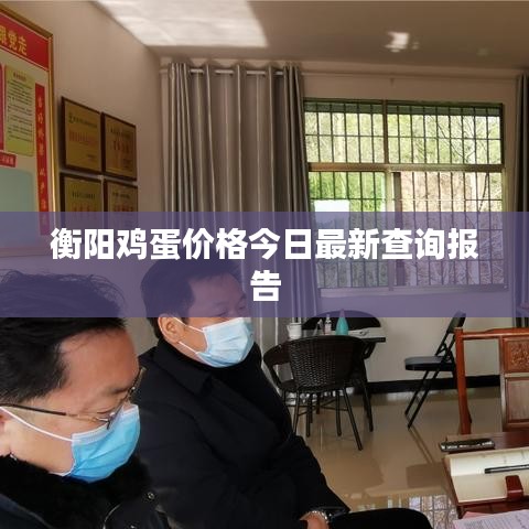 衡陽(yáng)雞蛋價(jià)格今日最新查詢報(bào)告