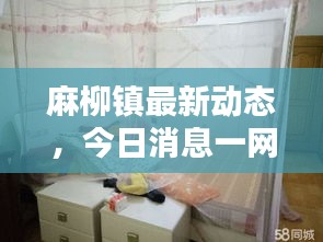 麻柳鎮最新動態，今日消息一網打盡！
