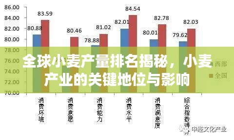 全球小麥產量排名揭秘，小麥產業的關鍵地位與影響