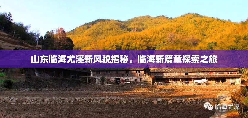 山東臨海尤溪新風(fēng)貌揭秘，臨海新篇章探索之旅