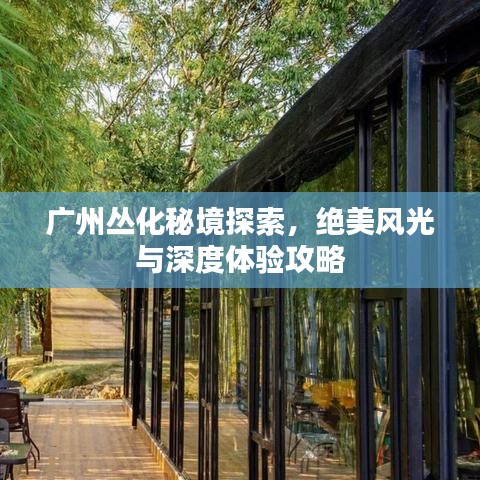 十全十美 第2頁