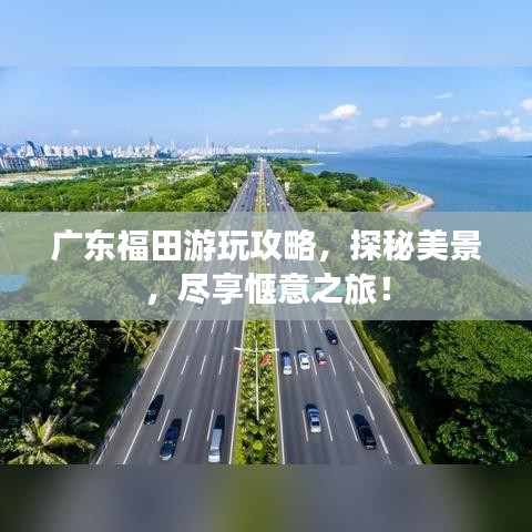 廣東福田游玩攻略，探秘美景，盡享愜意之旅！