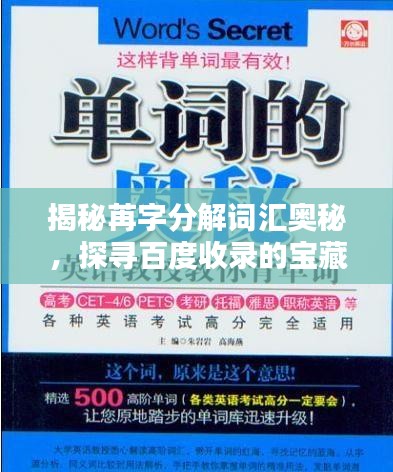 揭秘苒字分解詞匯奧秘，探尋百度收錄的寶藏標(biāo)題