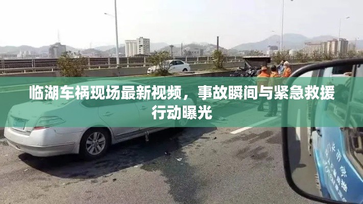 臨湖車禍現場最新視頻，事故瞬間與緊急救援行動曝光