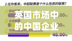 英國(guó)市場(chǎng)中的中國(guó)企業(yè)影響力與排名深度解析