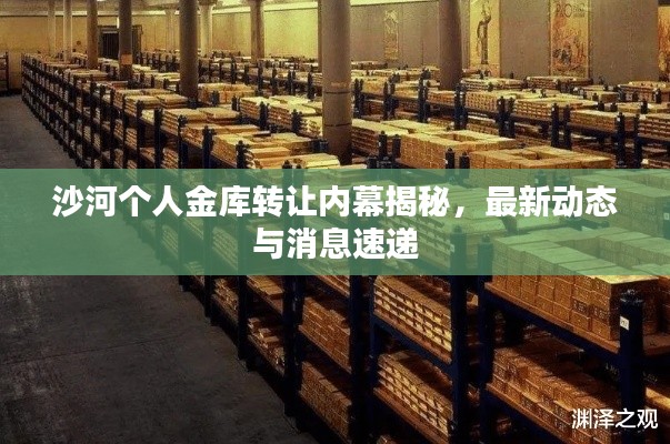 沙河個人金庫轉讓內幕揭秘，最新動態與消息速遞