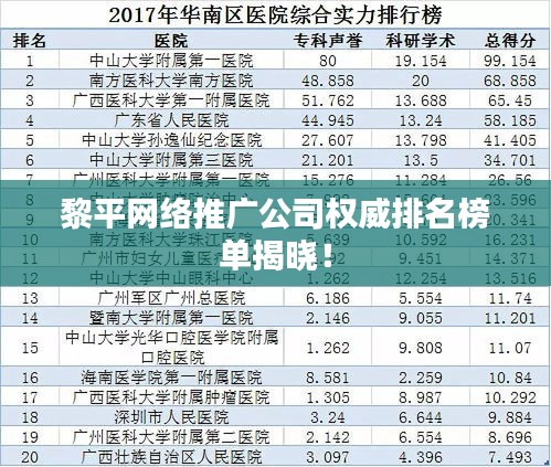黎平網絡推廣公司權威排名榜單揭曉！