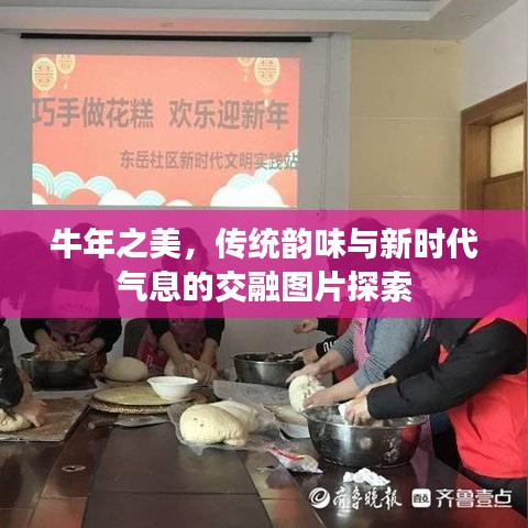 牛年之美，傳統韻味與新時代氣息的交融圖片探索